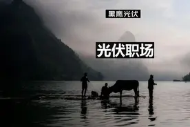 光伏高管职场变动统计（2017-2021）图片