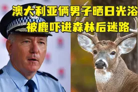 澳大利亚警方通报奇葩案件：俩男子晒日光浴被鹿吓进森林后迷路视频封面