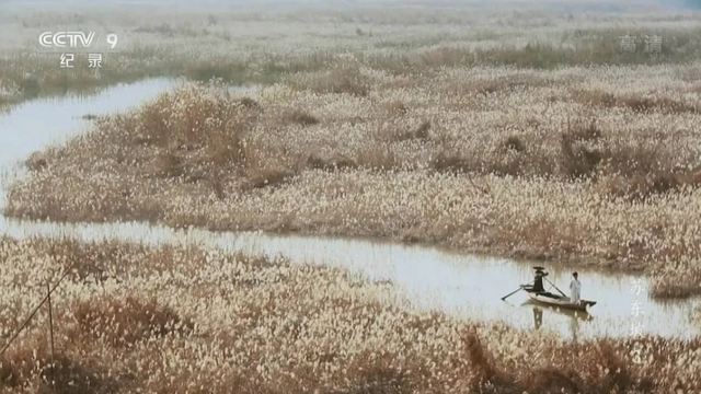 不只有《岳阳楼记》《醉翁亭记》，什么才是中国古代的游记？