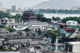 聪明潮州象图片