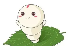 耐耐老师讲故事 |《蚕宝宝》图片