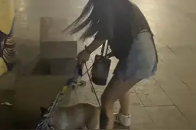福建小狗当街抢走路人滑板，玩得不肯撒手，女主人崩溃大喊：还给别人嘛图片