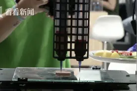 西班牙推出“3D打印素肉”模拟真肉纤维及口感图片