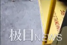 公交公司回应四川一小狗独自搭公交：趁司机不注意上来的图片