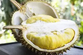 长期吃榴莲，能使血压降低吗？医生：若想血压稳定，请少吃这2物图片