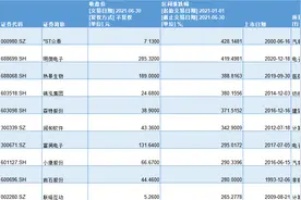 A股上半年近半收涨：119股股价翻番，最牛最熊均为汽车股图片