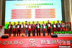 广东农高板半年助33家企业获16亿元授信图片
