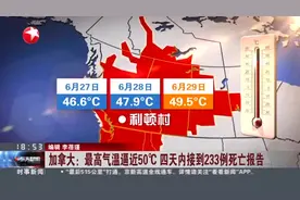 加拿大：最高气温逼近50℃  四天内接到233例死亡报告视频封面