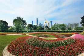 白天花香满城，入夜华灯绽放！初夏广州美如画图片