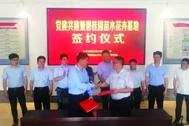 碧桂园：打造新时代民营企业党建标杆图片