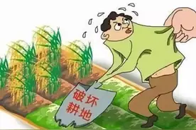【我为群众办实事之线上普法展】注意！这些肆意破坏自然资源和生态环境的行为坚决不能做！图片