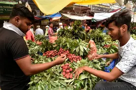 德尔塔毒株肆虐 孟加拉国“封城”一周图片