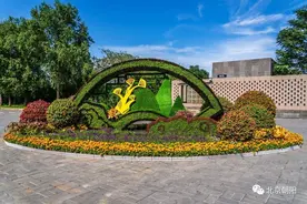 惊艳！朝阳街头花坛“凹造型”，鲜花盛景喜迎建党百年图片