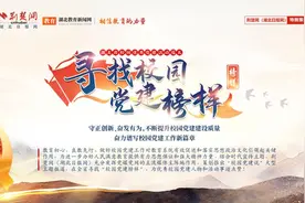 倡导“尚美”的教育！寻找校园党建榜样走进武汉市蔡甸区南湖小学图片