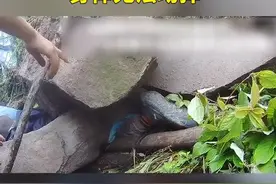 泸州11岁男童被巨石压身，身披警察“战袍”被救出……视频封面