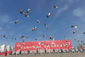 中国信鸽行业向中国共产党建党100周年献礼 10万羽和平鸽在天安门广场展翅高飞图片