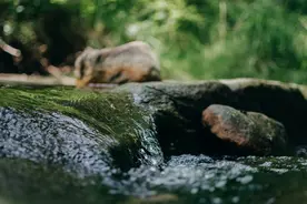 一课译词：川流不息图片