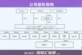 A+H两地上市，中国最大钴粉生产商寒锐钴业IPO再冲刺图片
