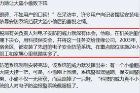 佳缘科技IPO：一朝行贿带来订单源源不断 经营现金流捉襟见肘图片