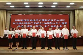 四川省国资系统召开“两优一先”表彰大会图片