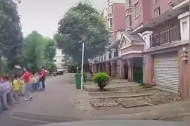 承包一整天的快乐！司机礼让孩子 迎来无数句“谢谢叔叔”图片
