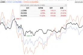 收益近60%！基金半年度冠军出炉（附TOP20分类排行榜）图片