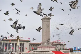 伟大成就 恢弘史诗——中国共产党百年奋斗光辉历程综述图片