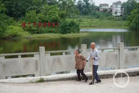 我和我的党支部 | 乡村庭院似花园！垫江大石乡借乡村振兴绘美丽乡村图片