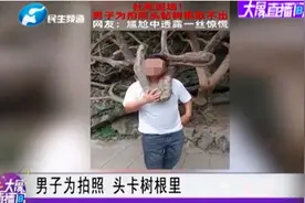 男子头伸进树杈拍照被卡住，当事人回应：出于好奇图片