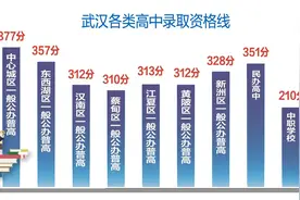 武汉公布各类高中录取资格线，中心城区示范高中398分，一般公办普通高中377分图片