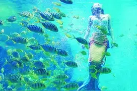 “美人鱼”多了 时尚潜水运动在厦兴起图片