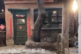 小伙手工微缩“奶奶家的院子”：希望重现曾经的美好图片