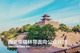 西安幸福林带面向公众开放视频封面