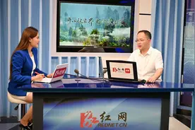 红网访谈丨武陵源区委书记张龚：暑期游三千奇峰，清凉有优惠视频封面