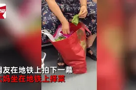 大妈地铁上提大袋子择菜，一个细节获点赞！网友调侃：能看到终点站图片