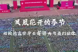 凤凰花开的季节，这些毕业寄语哪句最打动你？图片