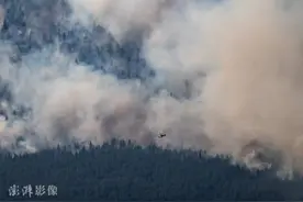 千年一遇极端高温已致北美近600人死亡，彭博社文章标题直接“归咎中国”图片