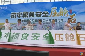 公众探秘闵行粮库“有技有量”心中不慌图片