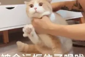 哭笑不得！济南一男子被U型锁套住脖子，钥匙不见了...图片