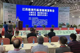江苏出台雨花石首个地方标准：雨花石中的极品称为“雨花玉”图片