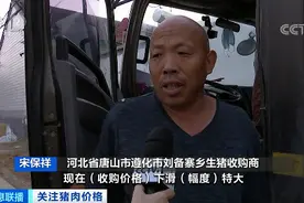 集中出栏！猪肉价格一路下行 稳“猪”！国家打出“组合拳”图片