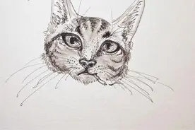 灵魂画手！潘粤明晒随手画的思考猫 网友：都想拜师了图片