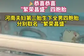 河南夫妇第三胎生下全男四胞胎，分别取名“繁荣昌盛”图片