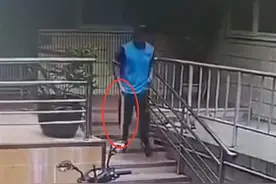 上海一外卖员小区内无故打死小猫，警方介入处理图片