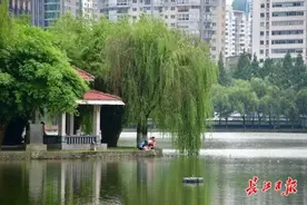 雨停了还下不下？看天气预报怎么说图片