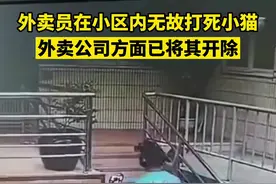 上海一外卖员小区内无故打死小猫，警方介入处理图片