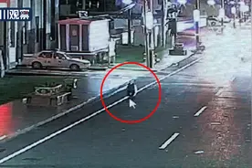 纯属溜达 棕熊夜访石渠县城图片