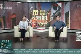 女童误入车流之中  巧遇警车化险为夷视频封面