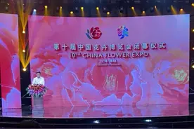 河南从上海滩带回2个特等奖，花博会正式进入“郑州时间”图片