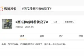 淡淡的忧伤！泉州一女子守了三个月的西瓜，摸着摸着只剩皮……图片